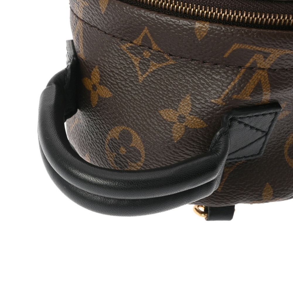 Louis Vuitton Canvas Daypack Monogram Springs Brown Palm Backpack - Picture 3 of 11